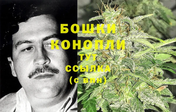 ешки Аркадак