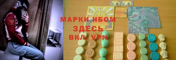 ешки Аркадак