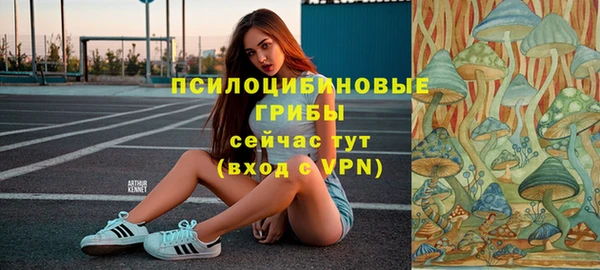 ешки Аркадак