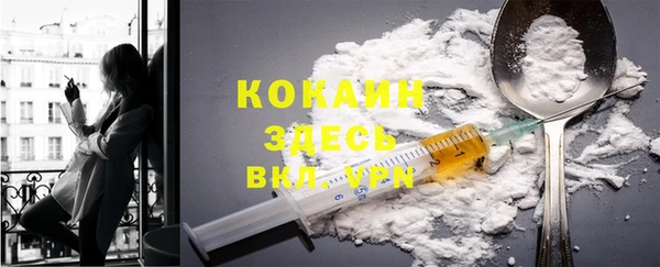 ешки Аркадак