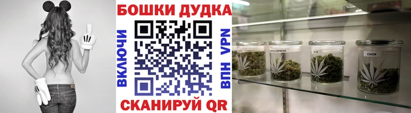Конопля гибрид  Тарко-Сале 